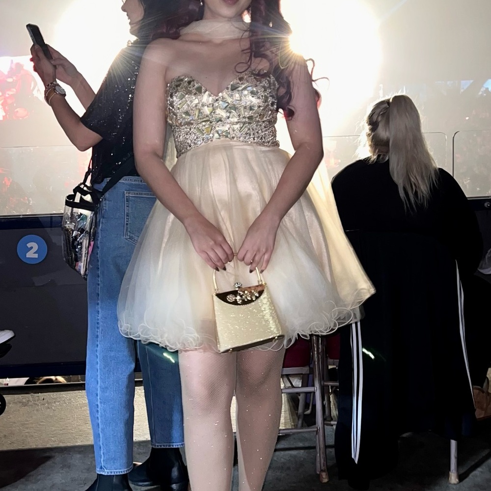 Gold corset fluffy tulle dress